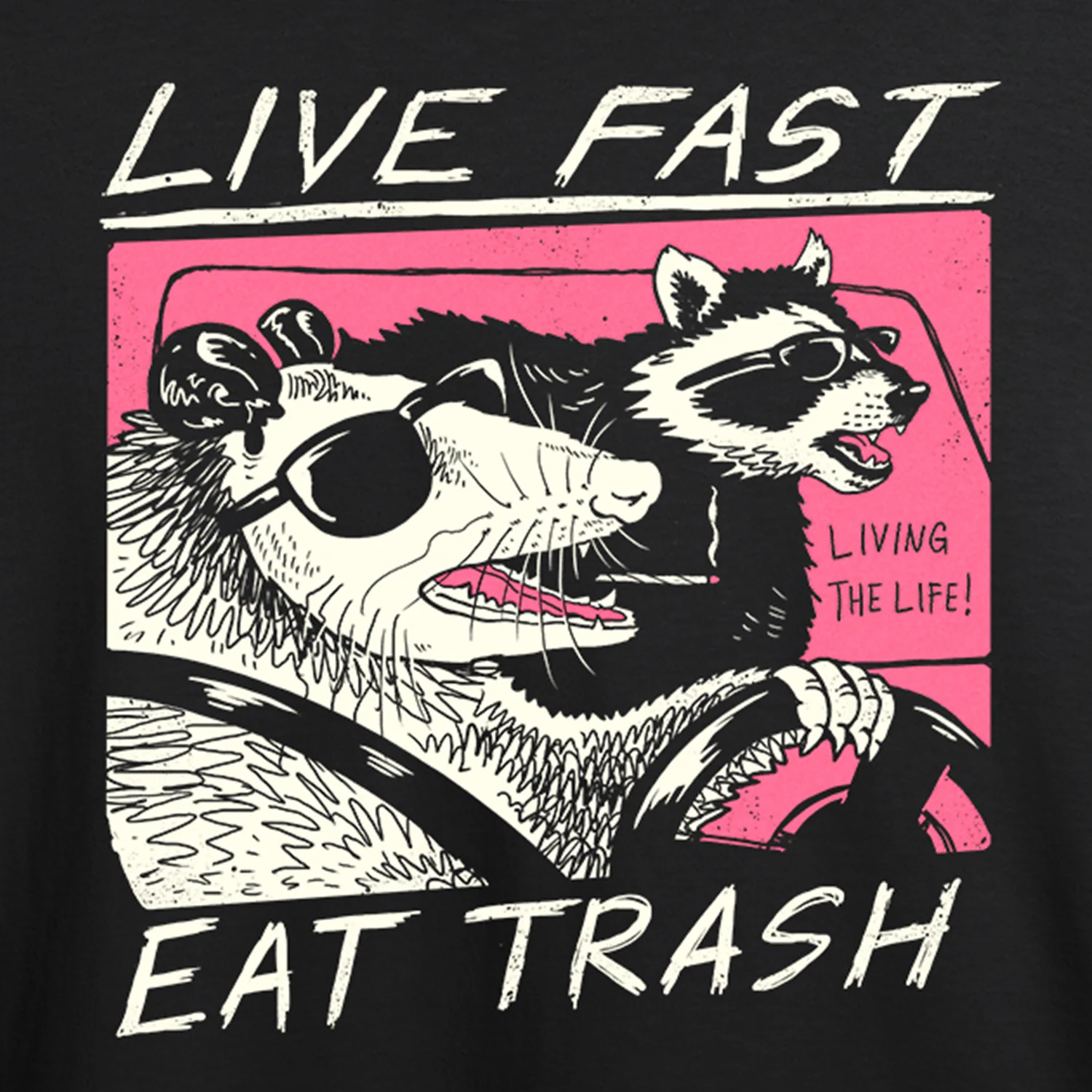 Live Fast! Eat Trash!